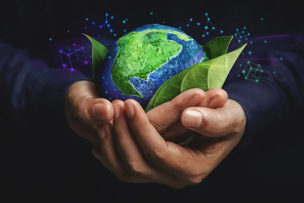 Educación online para el desarrollo sostenible: cursos, certificaciones y RSE corporativa